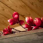 Apartament Auszeit Lermoos