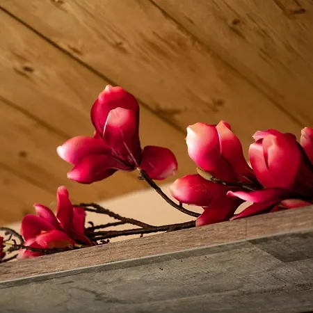 Lejlighed Auszeit Lermoos