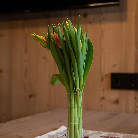 Auszeit Appartement