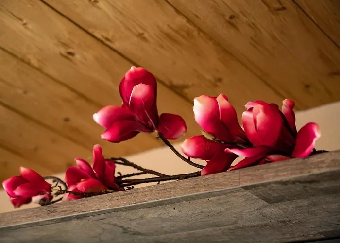 Апартаменты Auszeit Лермос