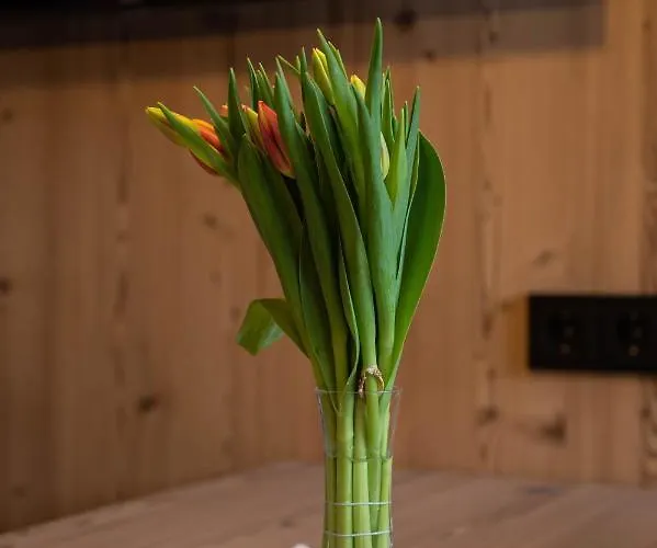 Auszeit Апартаменты